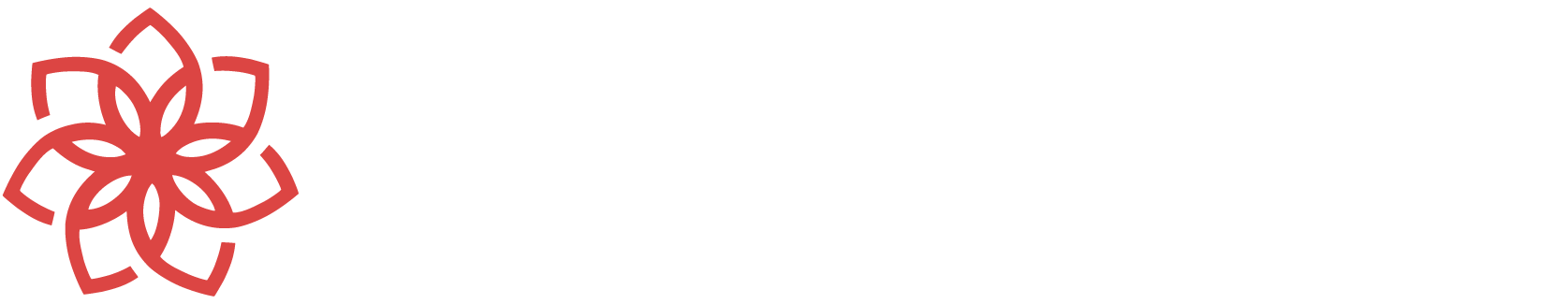 Сasino Chan Casino
